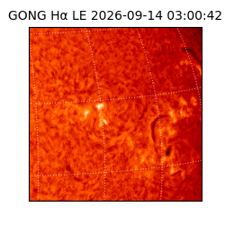 gong - 2026-09-14T03:00:42