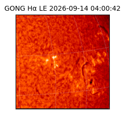 gong - 2026-09-14T04:00:42