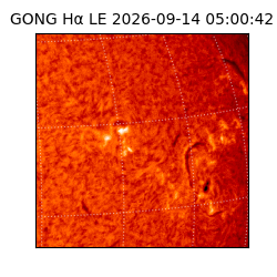 gong - 2026-09-14T05:00:42