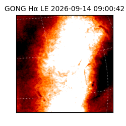 gong - 2026-09-14T09:00:42
