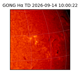 gong - 2026-09-14T10:00:22
