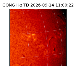 gong - 2026-09-14T11:00:22