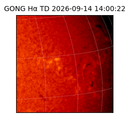gong - 2026-09-14T14:00:22