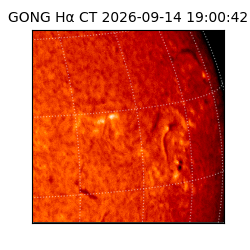 gong - 2026-09-14T19:00:42