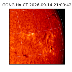 gong - 2026-09-14T21:00:42