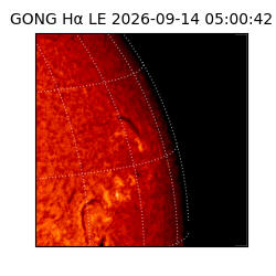 gong - 2026-09-14T05:00:42