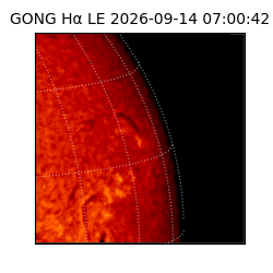 gong - 2026-09-14T07:00:42