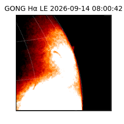 gong - 2026-09-14T08:00:42