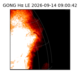 gong - 2026-09-14T09:00:42