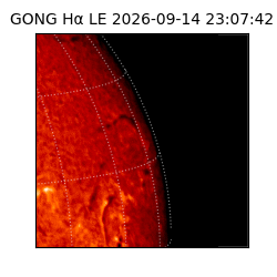 gong - 2026-09-14T23:07:42