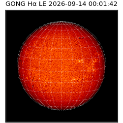 gong - 2026-09-14T00:01:42