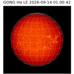 gong - 2026-09-14T01:00:42
