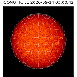 gong - 2026-09-14T03:00:42