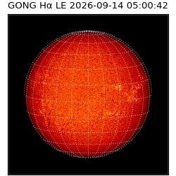 gong - 2026-09-14T05:00:42