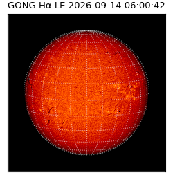 gong - 2026-09-14T06:00:42