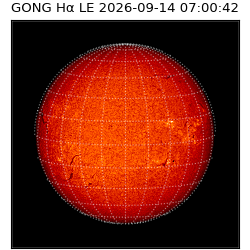 gong - 2026-09-14T07:00:42