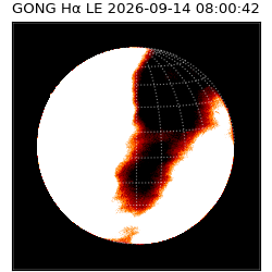 gong - 2026-09-14T08:00:42