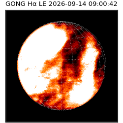 gong - 2026-09-14T09:00:42