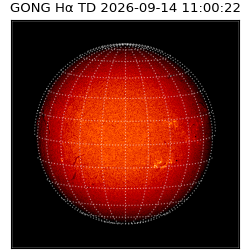gong - 2026-09-14T11:00:22