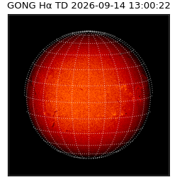 gong - 2026-09-14T13:00:22