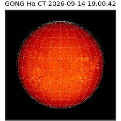 gong - 2026-09-14T19:00:42
