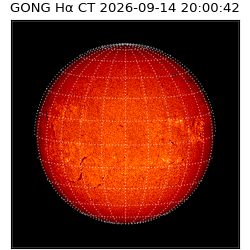 gong - 2026-09-14T20:00:42