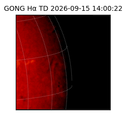 gong - 2026-09-15T14:00:22