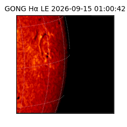 gong - 2026-09-15T01:00:42