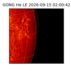 gong - 2026-09-15T02:00:42