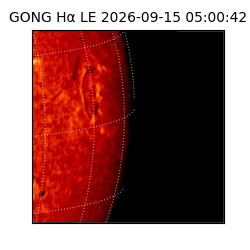 gong - 2026-09-15T05:00:42