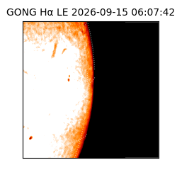 gong - 2026-09-15T06:07:42