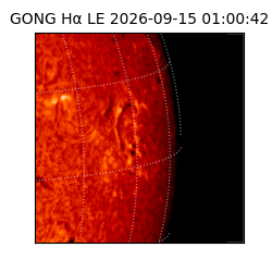 gong - 2026-09-15T01:00:42