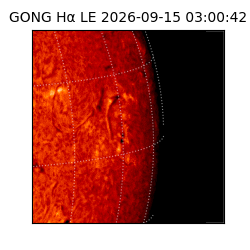 gong - 2026-09-15T03:00:42