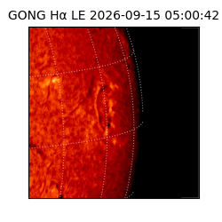 gong - 2026-09-15T05:00:42