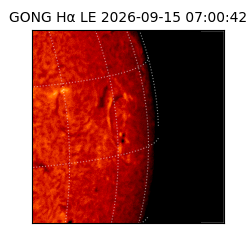 gong - 2026-09-15T07:00:42