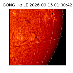 gong - 2026-09-15T01:00:42