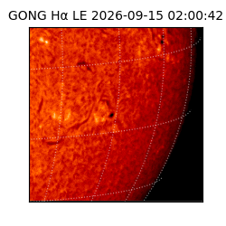gong - 2026-09-15T02:00:42