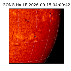 gong - 2026-09-15T04:00:42