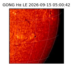 gong - 2026-09-15T05:00:42