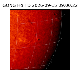 gong - 2026-09-15T09:00:22