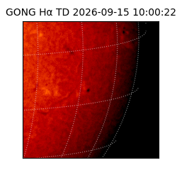 gong - 2026-09-15T10:00:22