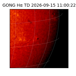 gong - 2026-09-15T11:00:22