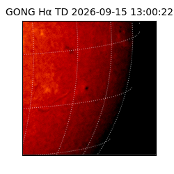 gong - 2026-09-15T13:00:22