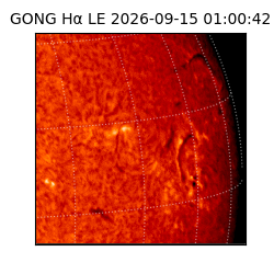 gong - 2026-09-15T01:00:42