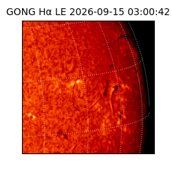 gong - 2026-09-15T03:00:42