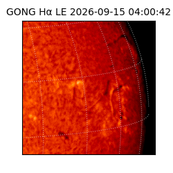 gong - 2026-09-15T04:00:42