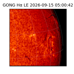gong - 2026-09-15T05:00:42