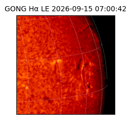 gong - 2026-09-15T07:00:42