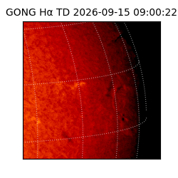 gong - 2026-09-15T09:00:22