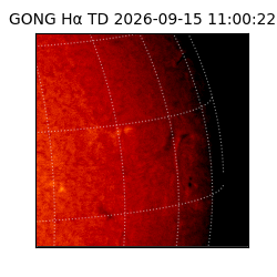 gong - 2026-09-15T11:00:22